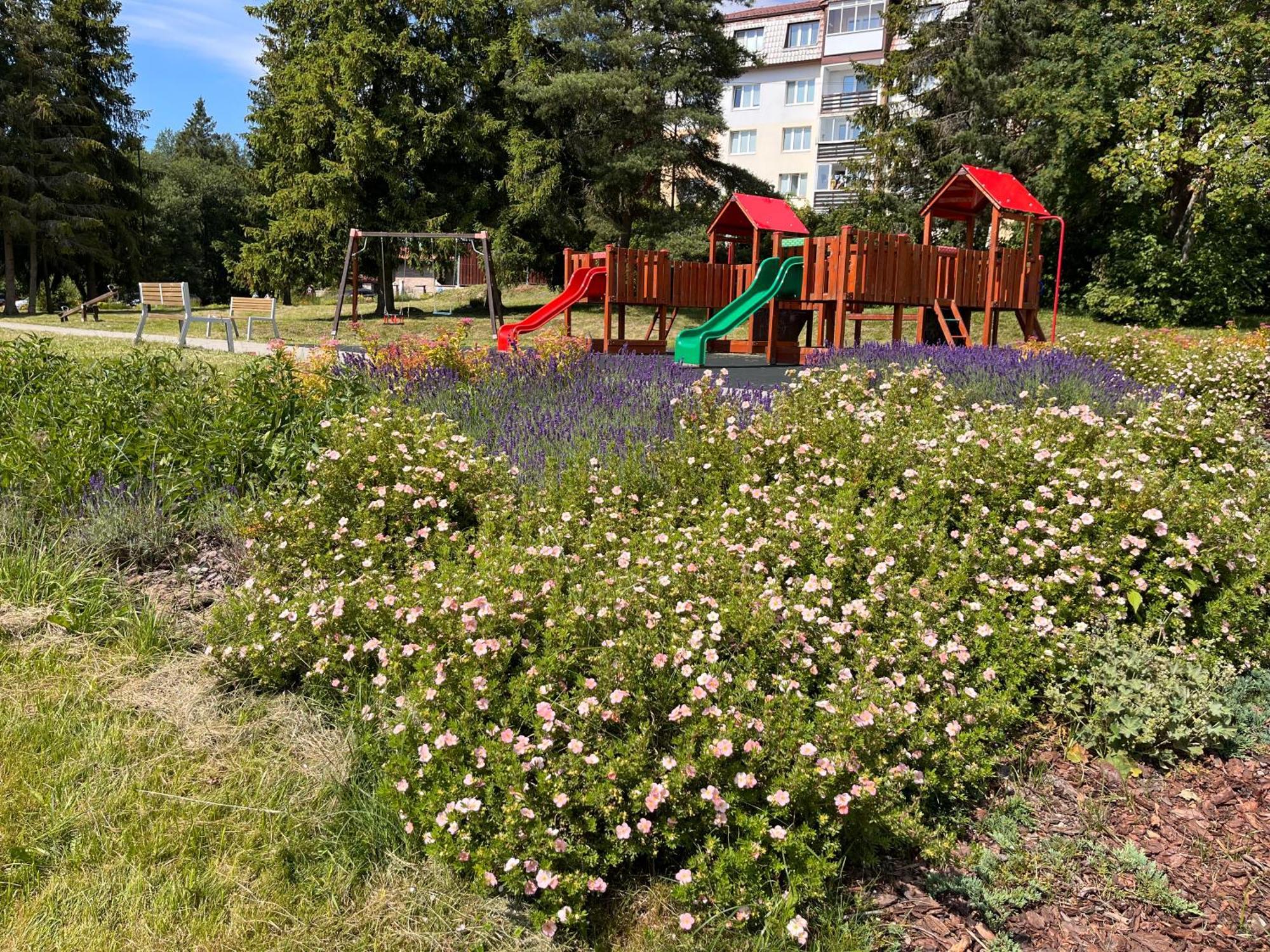 Cozy Apartment By The Forest Tatranska Strba Esterno foto